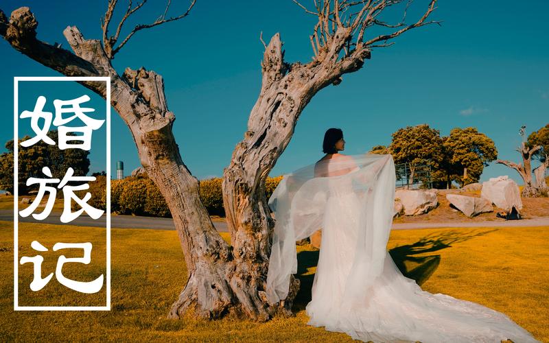 怎么把一堆照片做成一个视频啊?