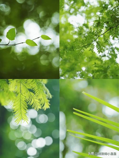 虚化的照片怎么恢复清晰?