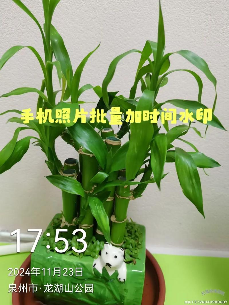 今日水印相机防伪码有什么用