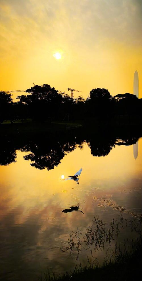 华为手机拍景色技巧