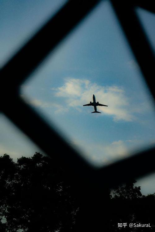 手机图虫和电脑图虫哪个好图虫电脑版与手机板的区别