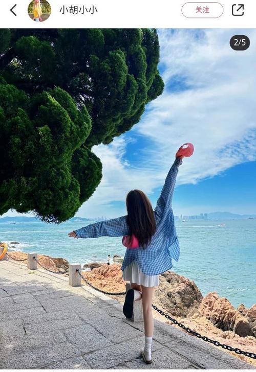 POSS是什么意思?