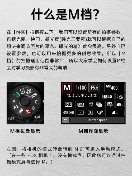 相机怎么恢复出厂设置