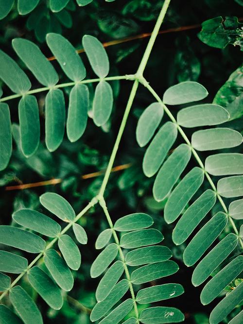 拍照好看的安卓手机推荐