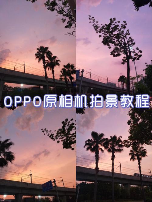 手机拍照的教程图3