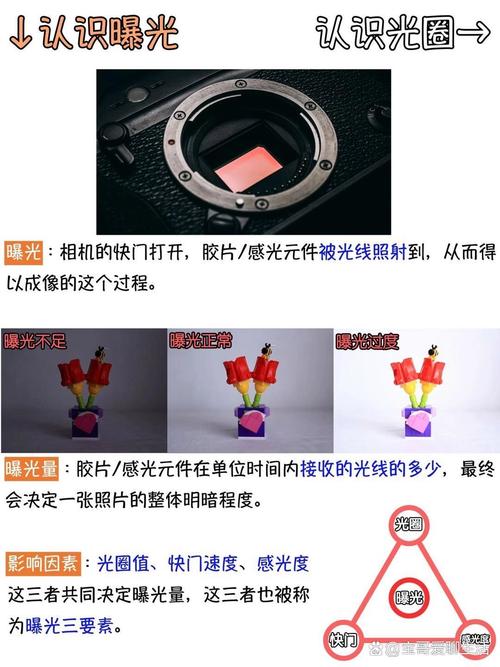 论拍照角度的重要性是什么意思图1