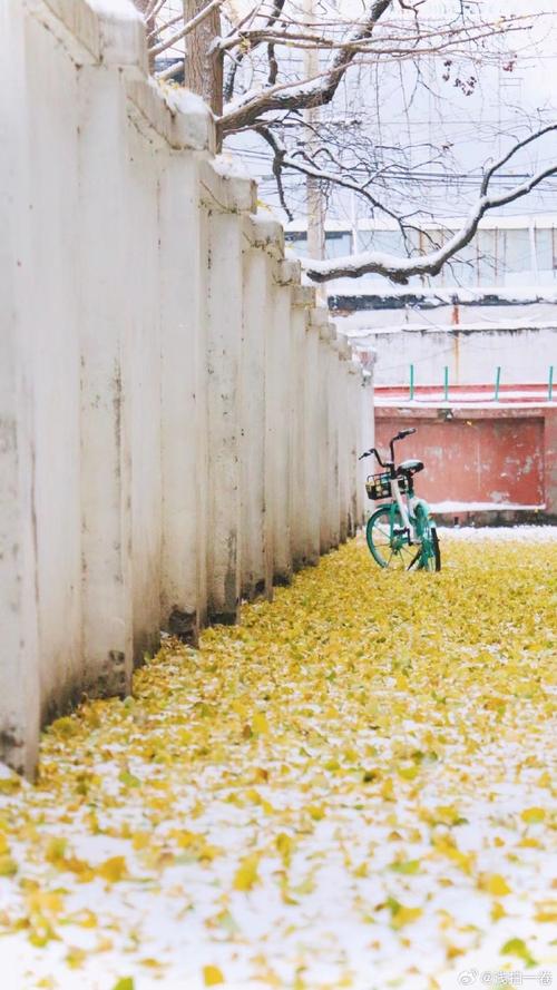 什么地方不合适拍照?