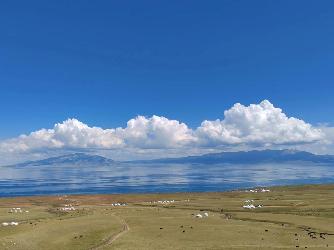 拍照时出现蓝色发光体图1