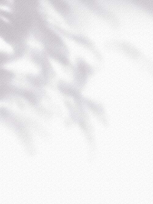 补光图片白色背景图2