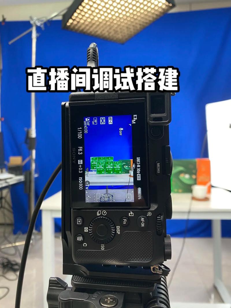 一部手机怎么实现绿幕直播