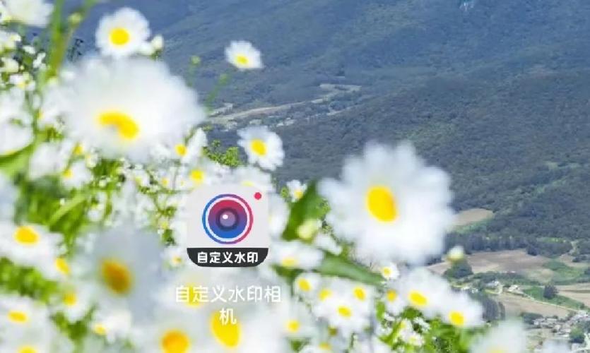 水印相机黑屏是怎么回事图1