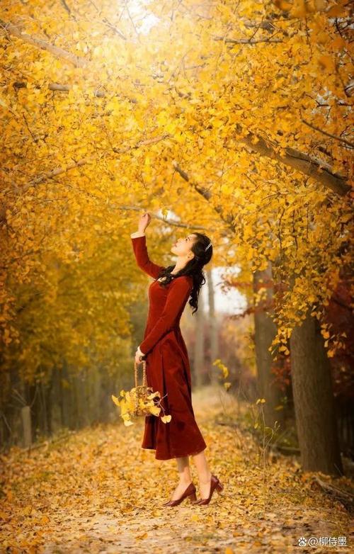 什么手机照相效果最好像素最高可以拉近看吗图1