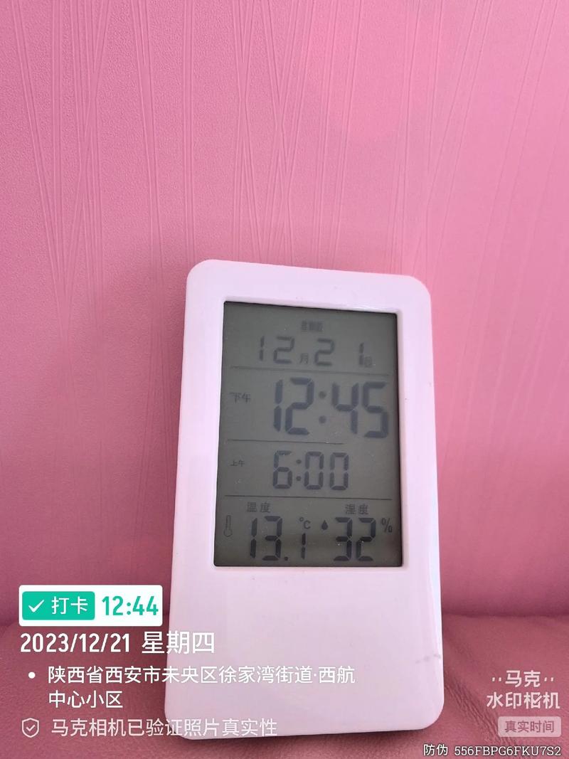 什么照相机带时间和日期图2