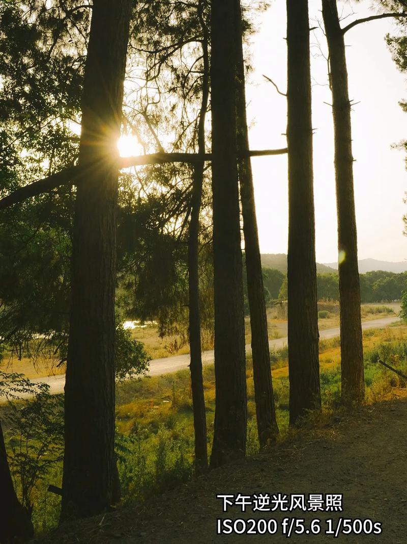 数码相机拍出来的照片有的会带上日期,这是相机设置的?还是系统内定的...