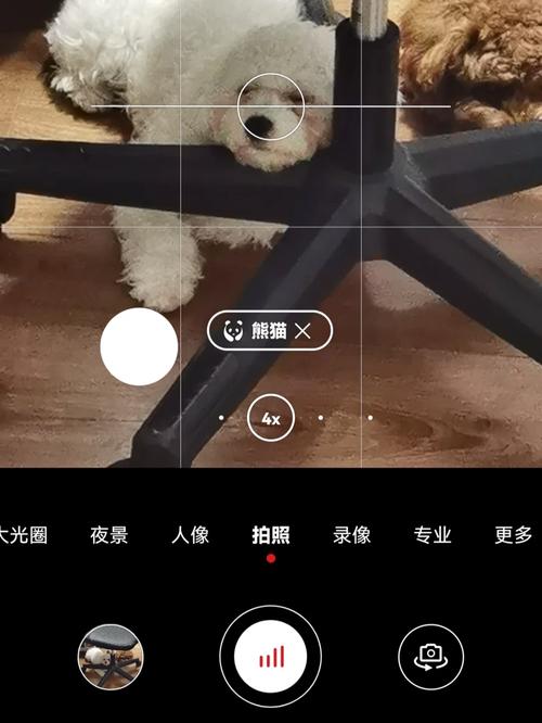 怎么恢复照相机图3