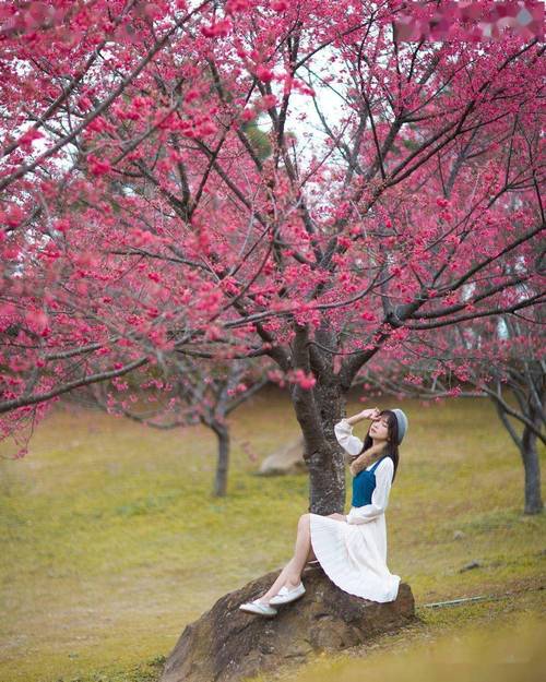 室内拍照背景图真实图2