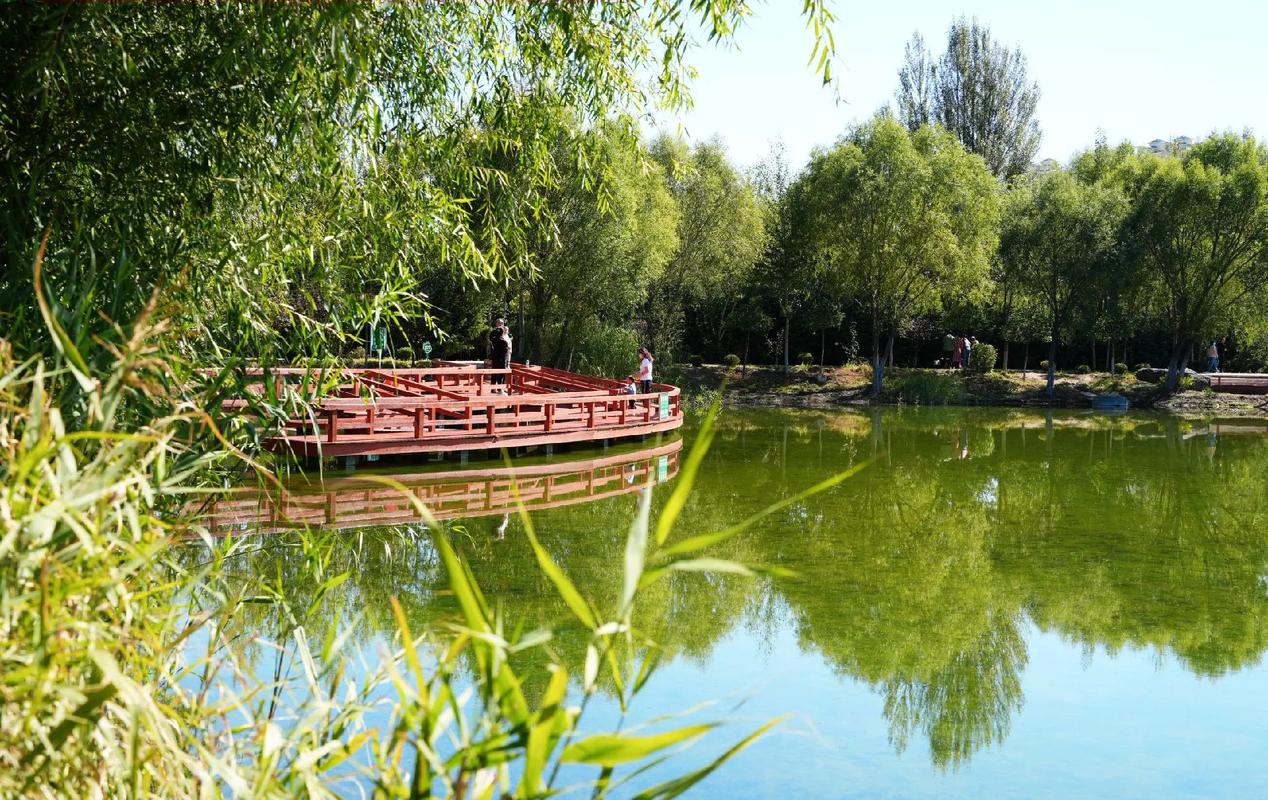 去蒲河国家湿地公园游玩如何才能拍出好看的打卡照?