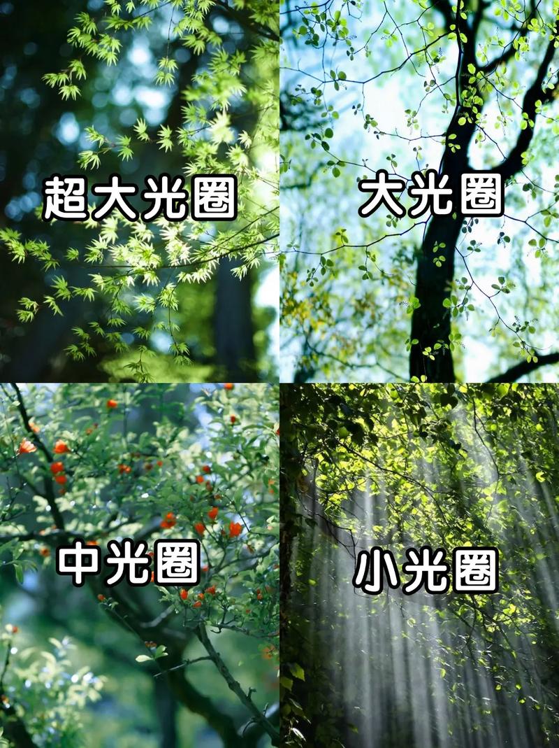 摄影光圈使用技巧图1