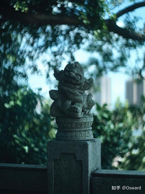 什么相机拍照带时间水印图1