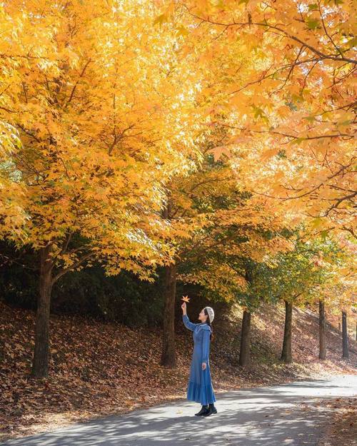 外景拍照怎么摆姿势好看图1