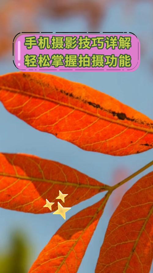 手机摄影入门篇图2