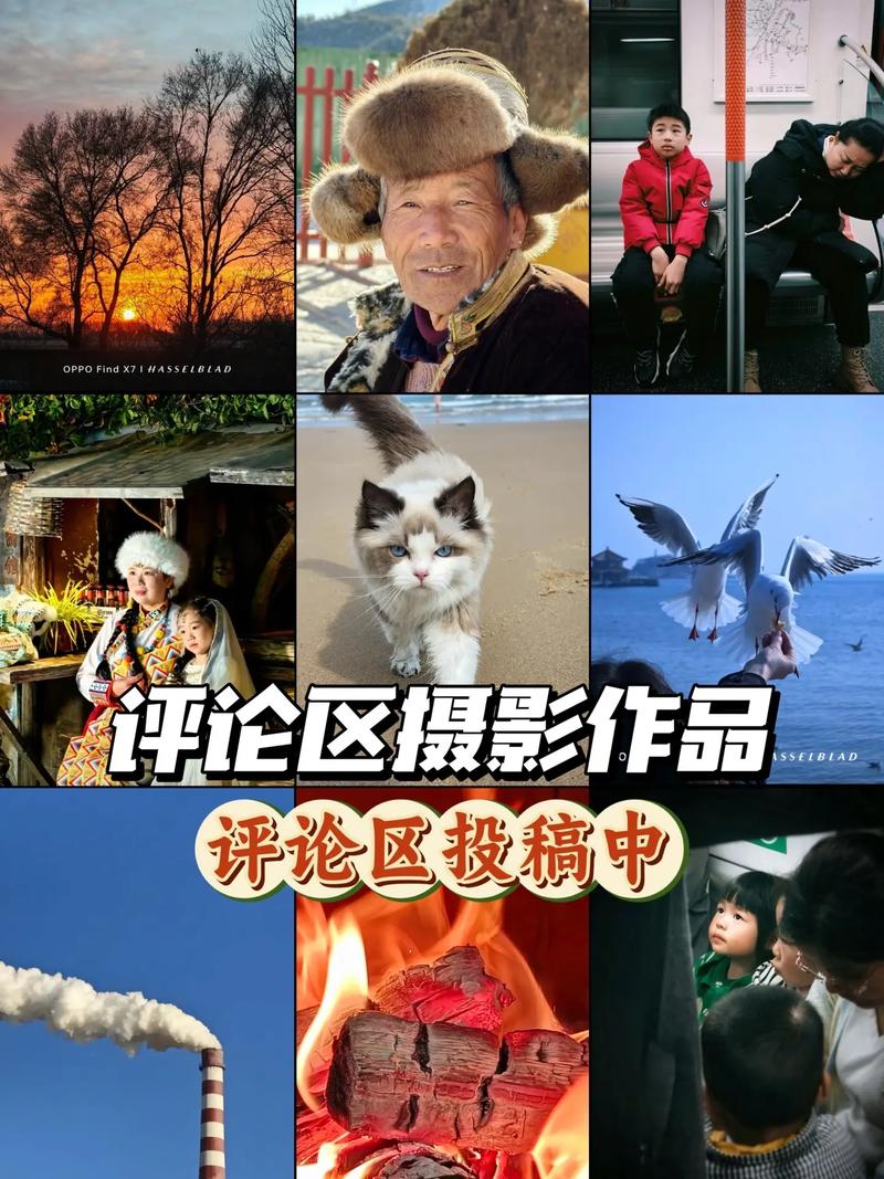 摄影平光怎么打