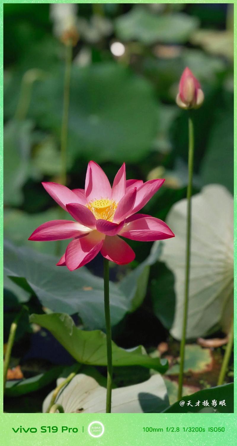 拍照软件哪个好用又自然又清晰图1