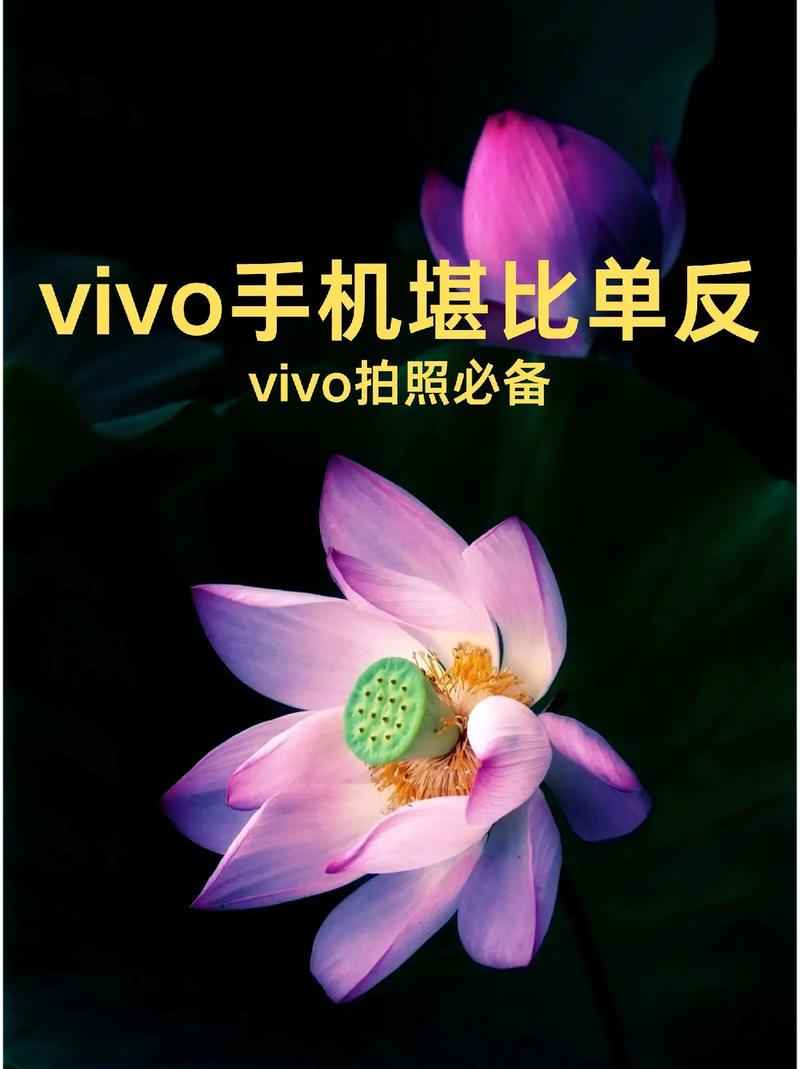 vivo拍照设置显示时间
