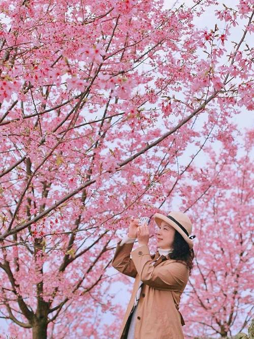 八人拍照姿势创意大全图片图2