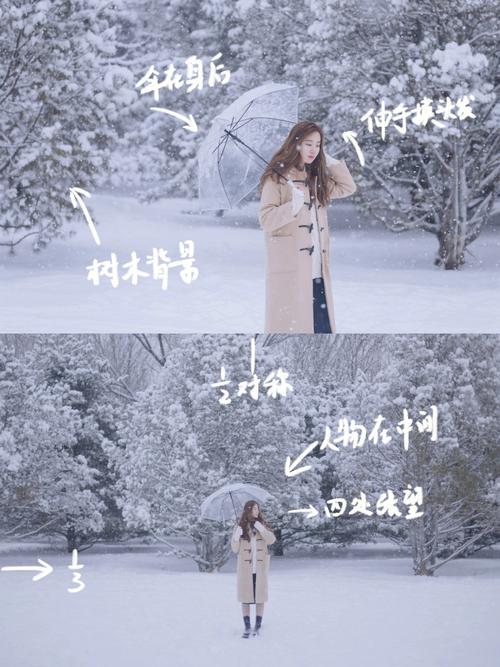 下雪拍照姿势大全图片图1
