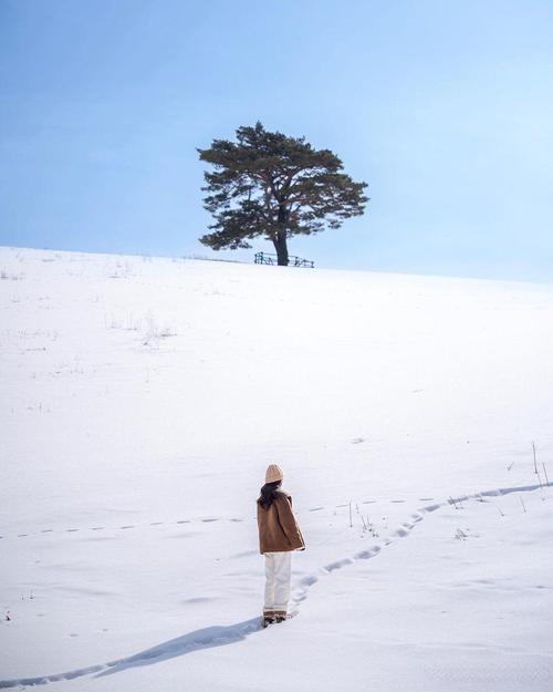 雪景怎么拍照片好看
