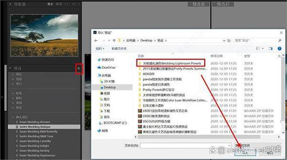 电脑上的照相机软件有哪些图3