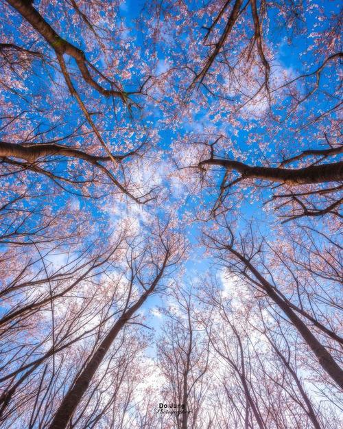 拍照技术的技巧和方法手机苹果图2