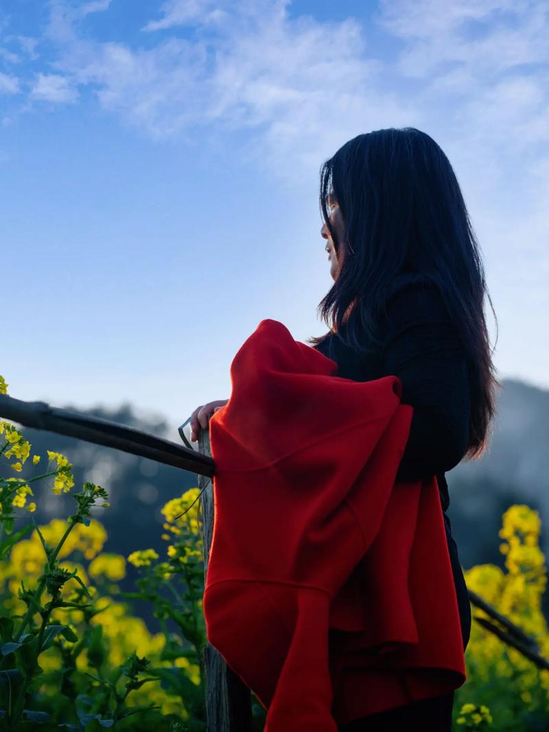 手机对着太阳拍照的时候屏幕中间老是有一个小亮点