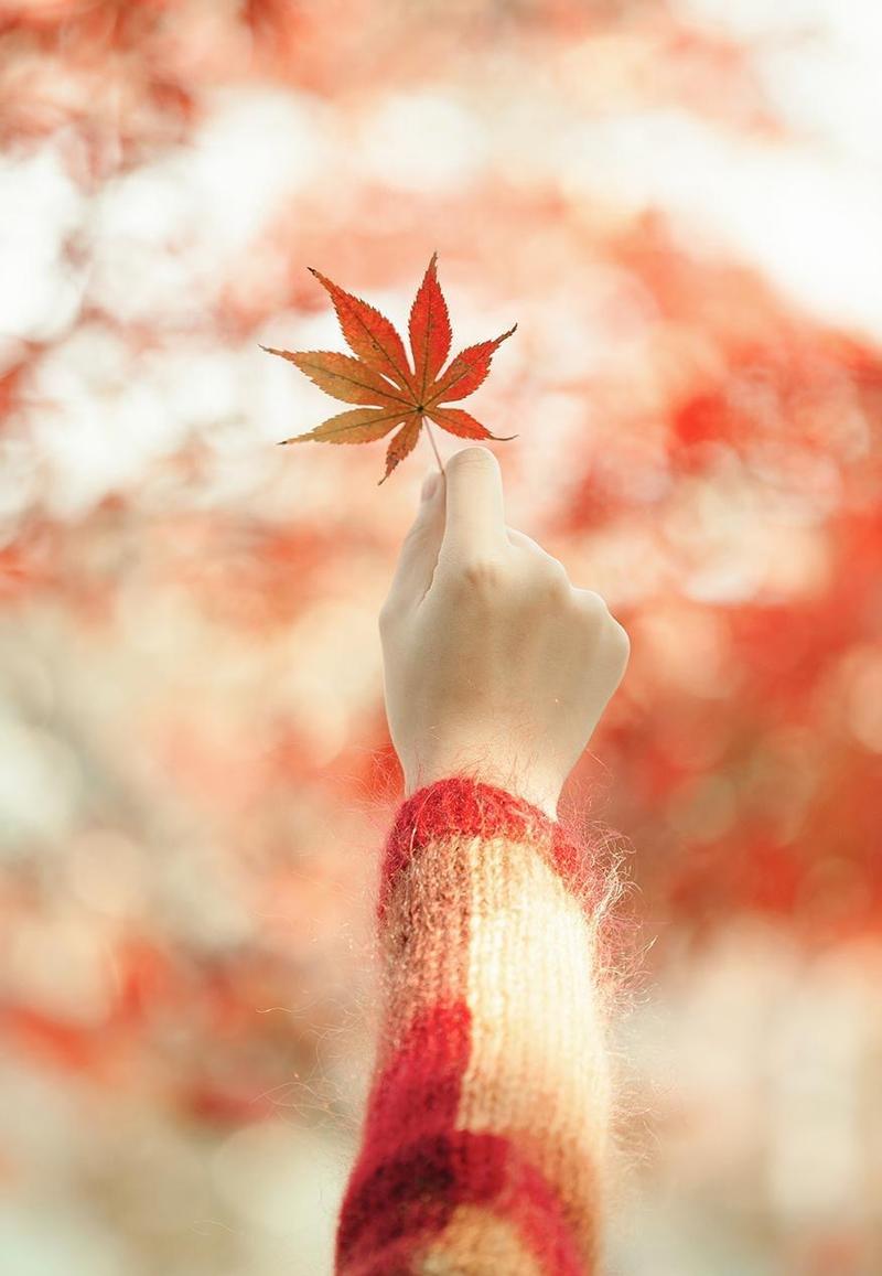 秋天拍照姿势大全图片欣赏图2