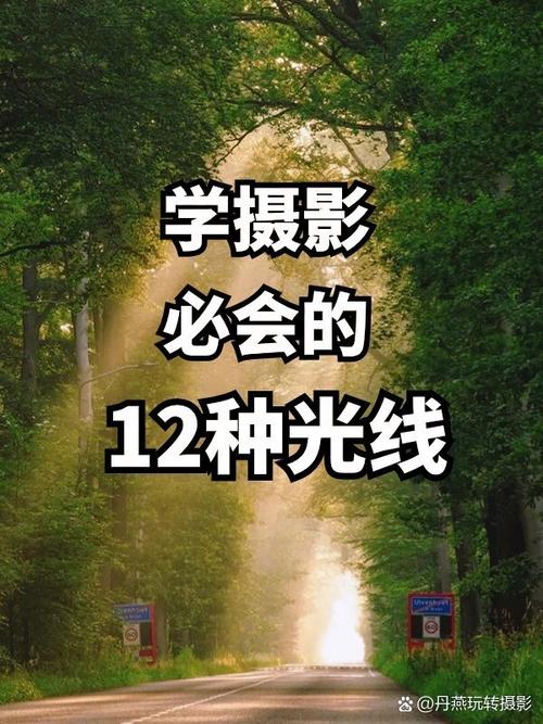 红叶拍照姿势大全图片高清图1