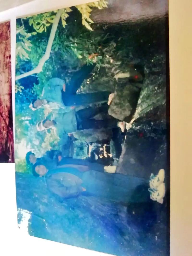 怎样用手机翻拍老照片更清晰一些