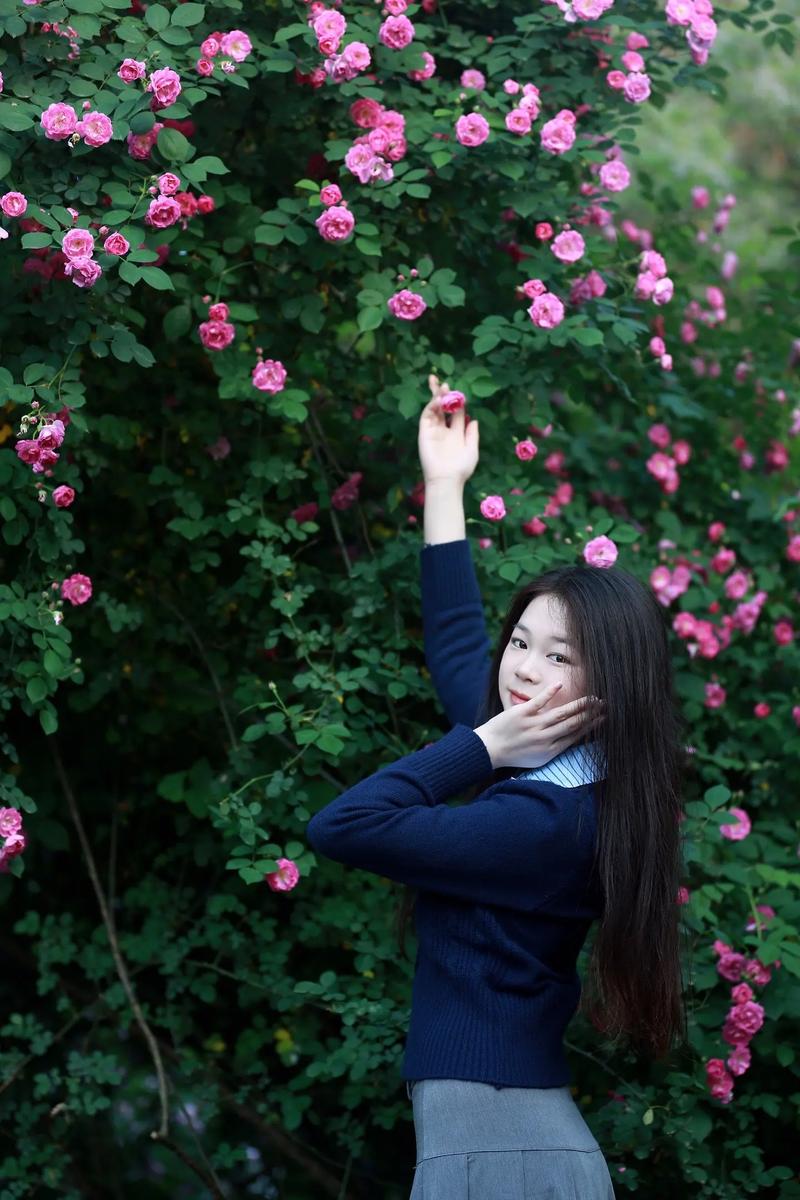 如何用手机拍摄花朵图片图3