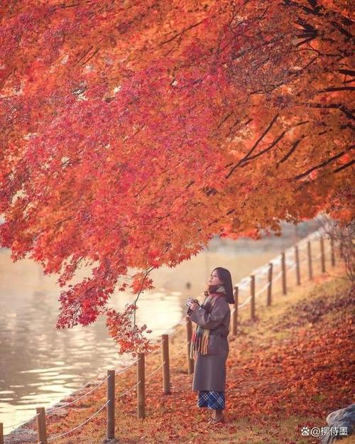 怎么拍好秋天红枫叶中的人像?
