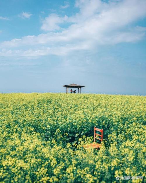 最强拍照手机前十名