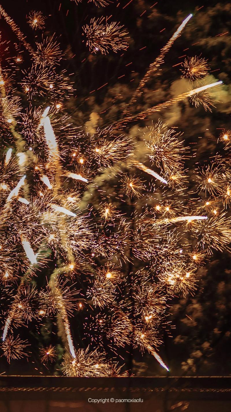 适合过年拍照的姿势有哪些图3