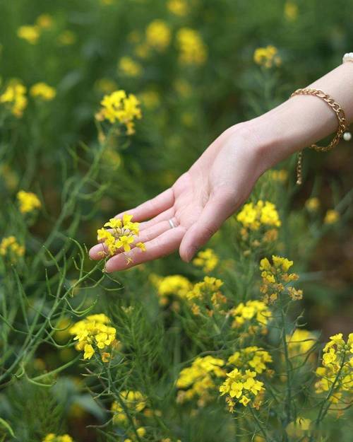 拍照手机哪个最好推荐一下图1