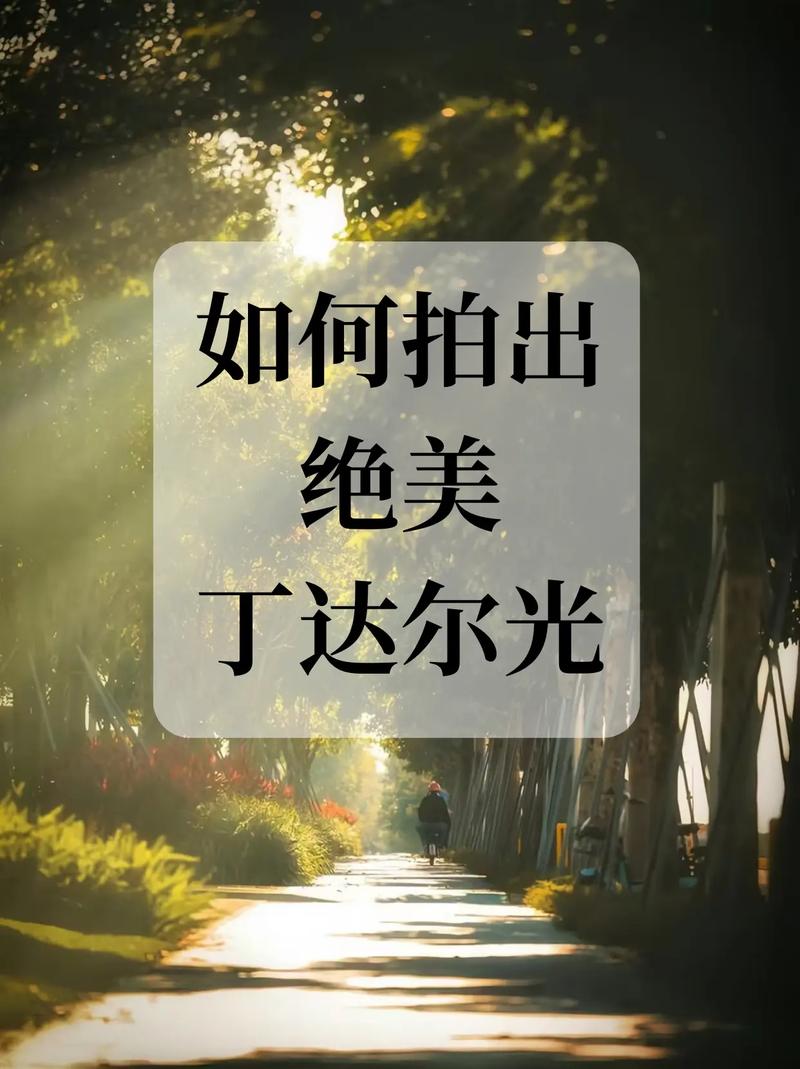 如何拍出绝美丁达尔光?拍照技巧快学起来