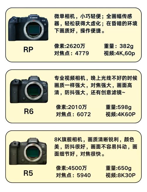 拍照点数软件图1