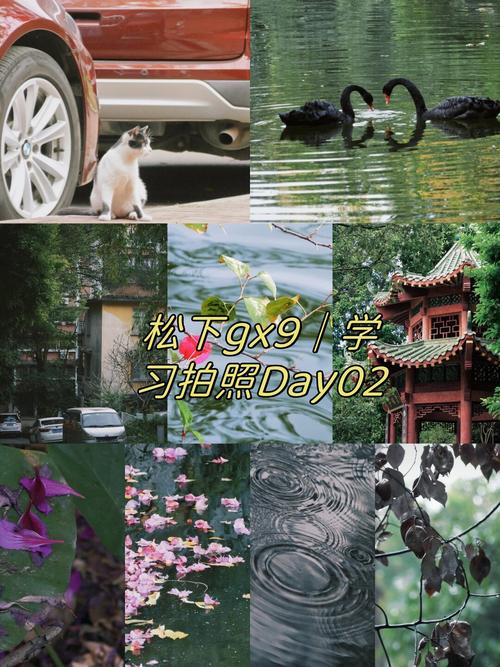 拍照点数软件图2