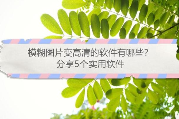 让照片变清晰的软件有哪些图2