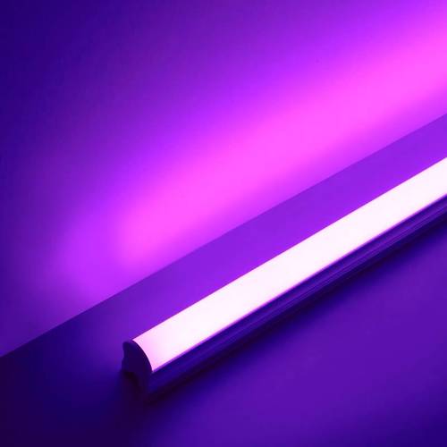 紫色拍照灯光图图2