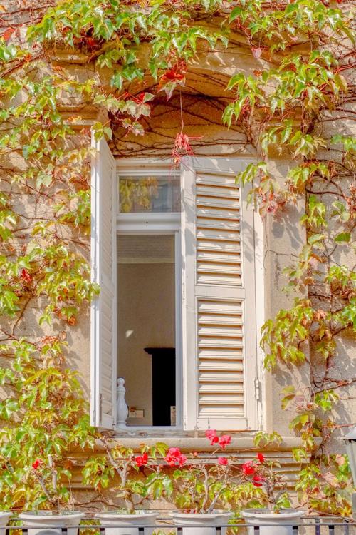 p图专用背景图室内图3