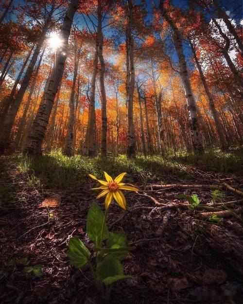 摄影构图有哪些方法,怎么拍出大片感照片?