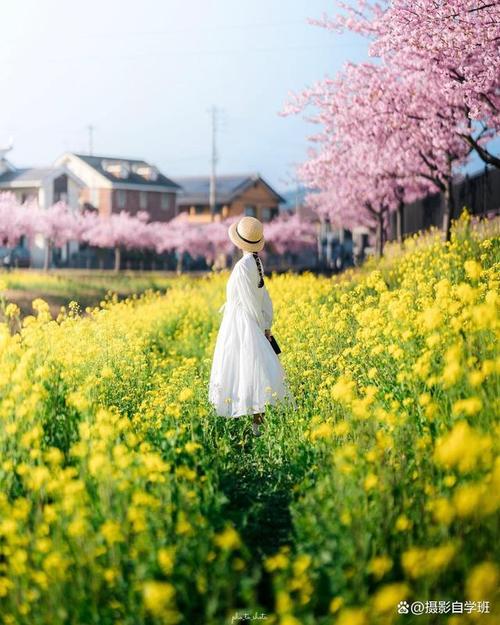 怎么拍照显得个高